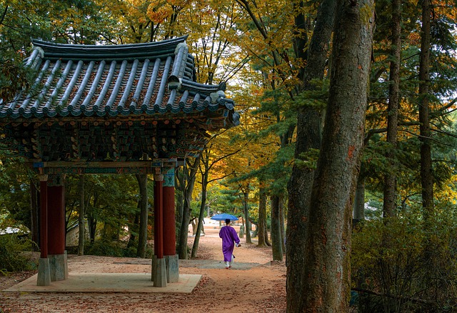 한국 드라마와 영화로 한국어 배우기