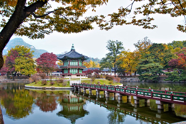 한국어 학습을 위한 모바일 앱 알아보기