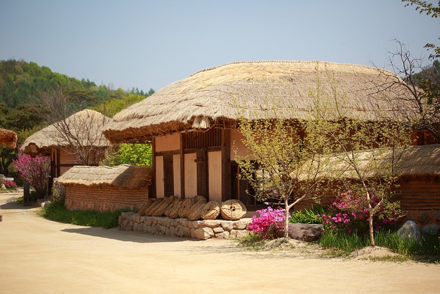 한국어 숙어와 관용구 알아보기