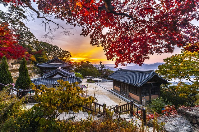 게임과 활동으로 한국어 공부하는법 알아보기